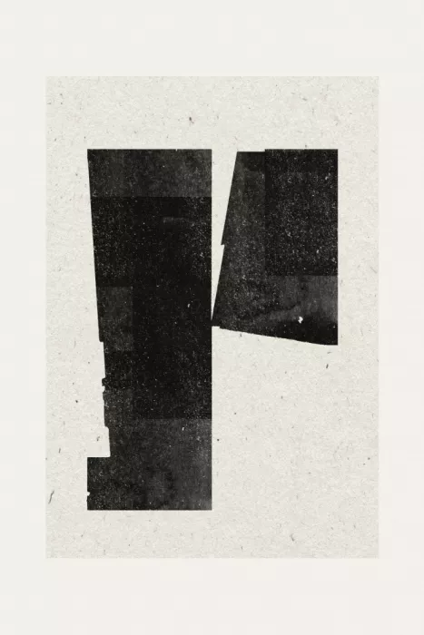 Studio, Miuus The: Fragmented Shadows