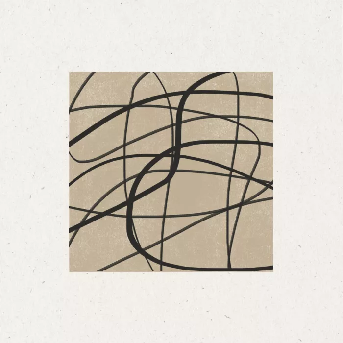 Studio, Miuus The: Tangled Paths