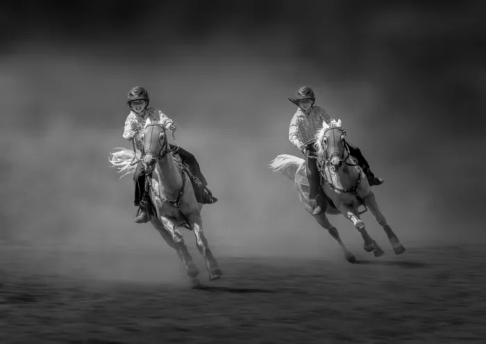 Wu, Irene: Twin Riders
