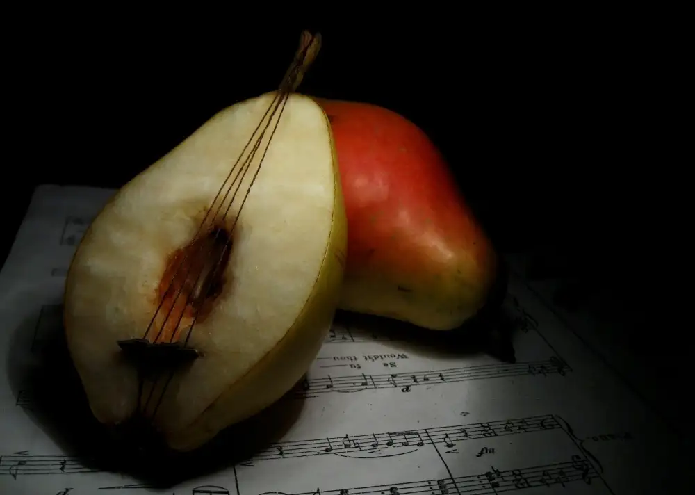 Basa, Emine: still life
