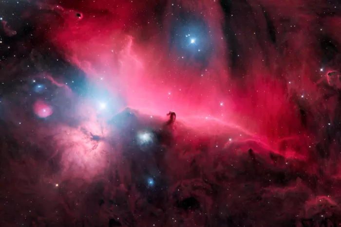 Chander, Vikas: La Nebulosa Testa di Cavallo