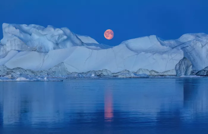 Jin, Jie: Polar red moon