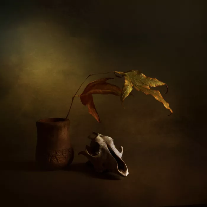 Halaby, Margaret: Autumn Melancholy