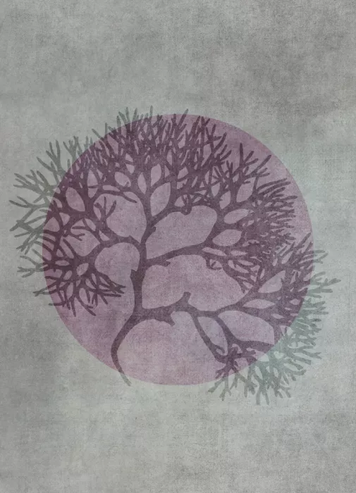 Haase, Andrea: Nature abstraite 1