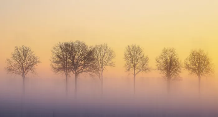 Lee, van Hilda: warm winter light