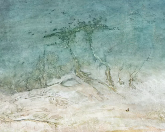 Dou, Shenshen: Dry lake scape