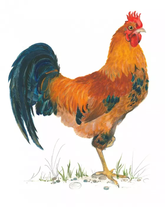 Brent, Isabelle: Vibrant Rooster Scene