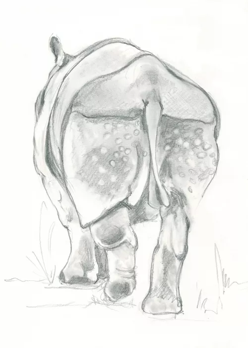 Brent, Isabelle: La Marche Douce du Rhinocéros