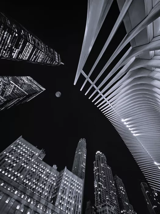 Zhang, Jasmine: World Trade Center