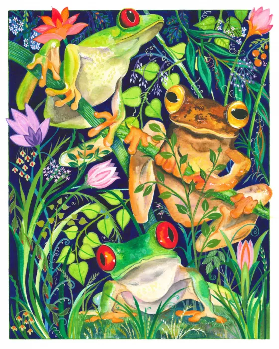Brent, Isabelle: Grenouille dans la verdure