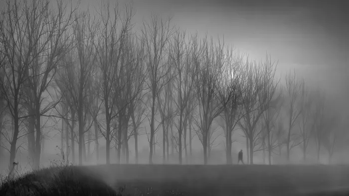 Moretti, Claudio: Morning walker