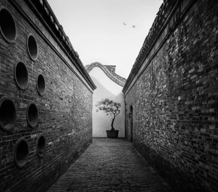 NanZ: Chinese Old Style Building