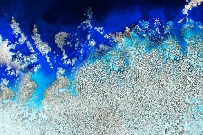 de, Meikle Petra: Aerial Ocean - Cosmic Coral