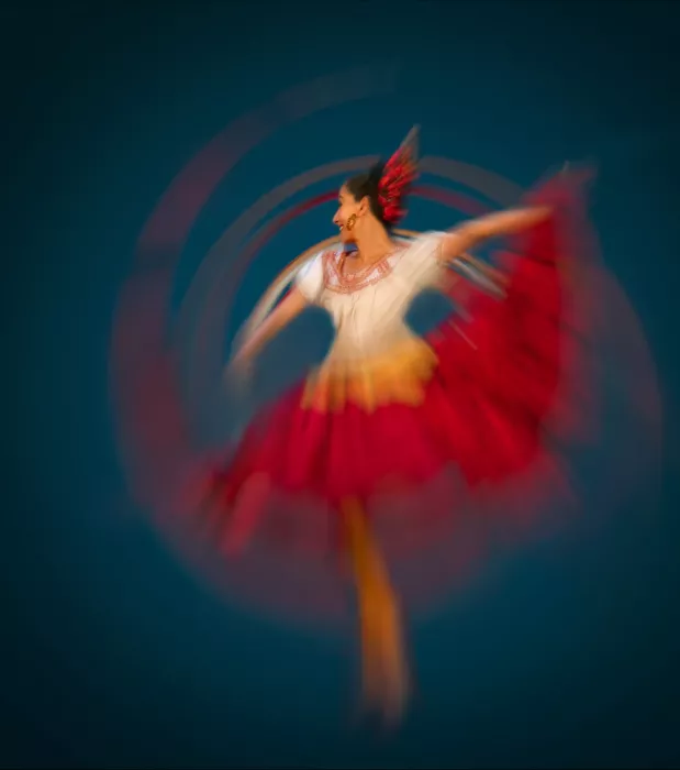 Hui: A phoenix