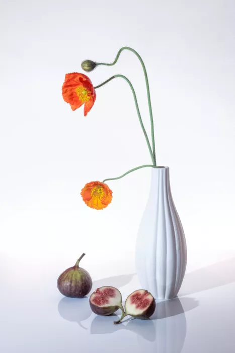 GaoSL: Flower and Fruit