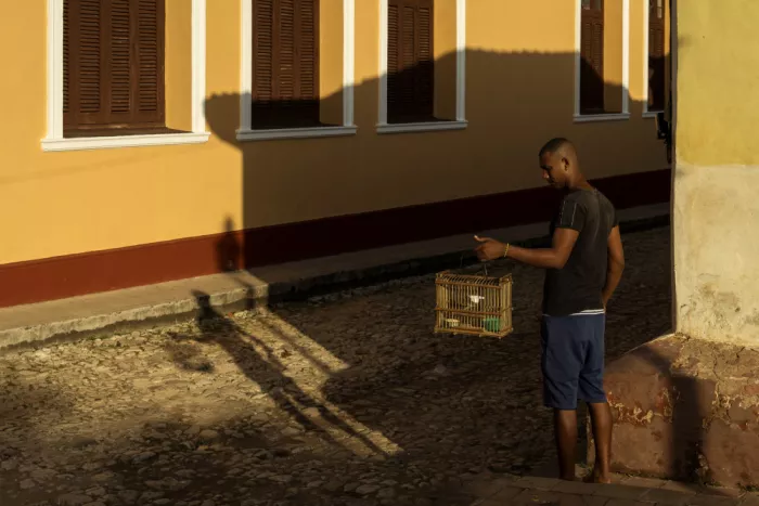 Mirica, Dan: Street of Trinidad, Cuba