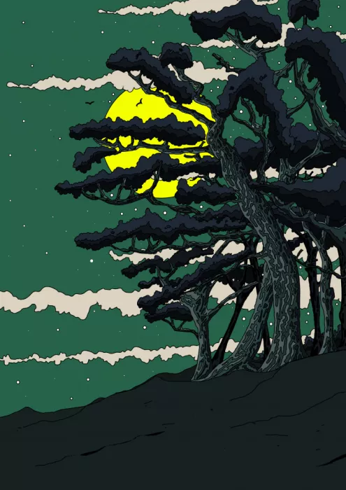 Nicholas: Pins au clair de lune