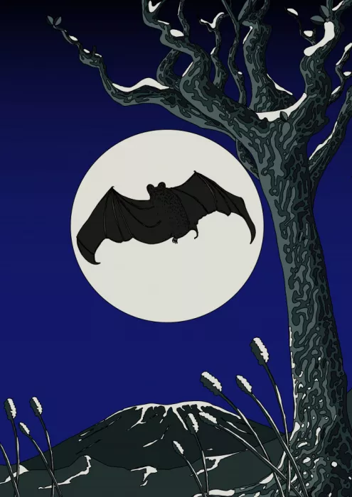 Nicholas: Chauve-souris en vol en silhouette
