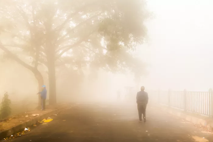 Das, Subhajit: A foggy Winter morning