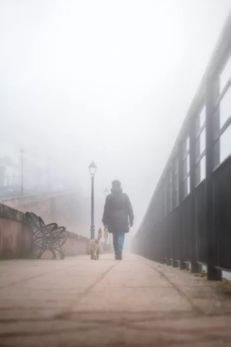 Seco, Luis Juan: Avec les yeux de la brume...