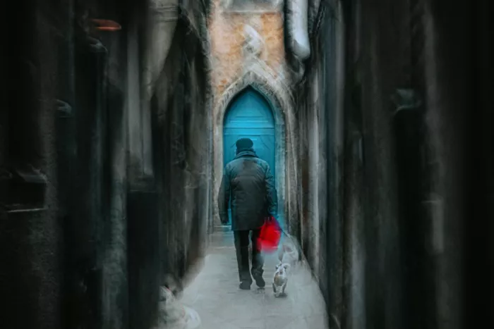 Sedevcic, Damijan: blue door