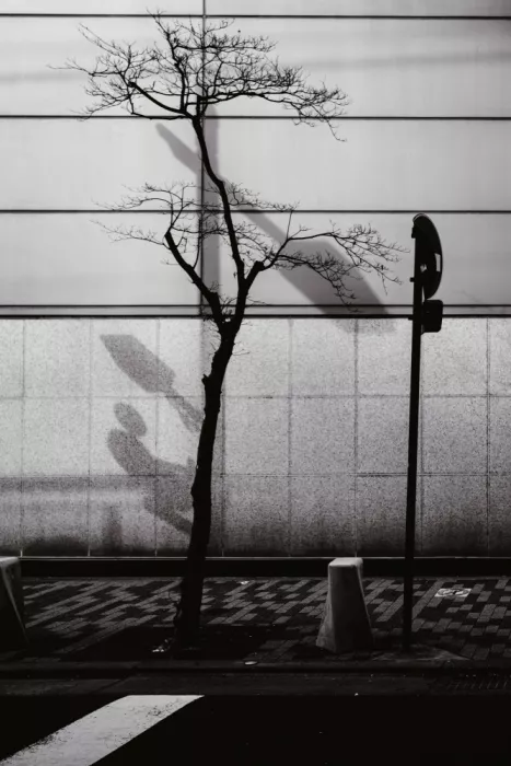 HIDASAN: Looming Future