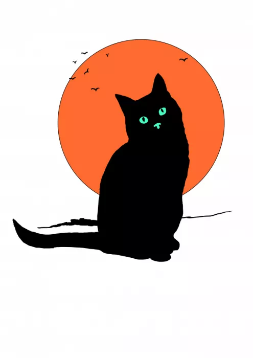 Nicholas: Katze