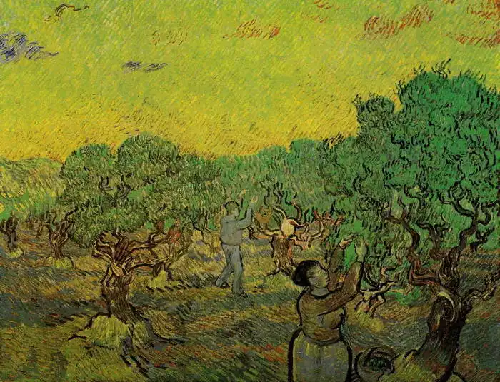 Gogh, Vincent van: Olive grove with pickers