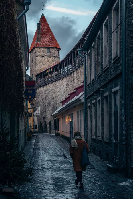 Fujii, Yuzo: Passeggiata mattutina a Tallinn