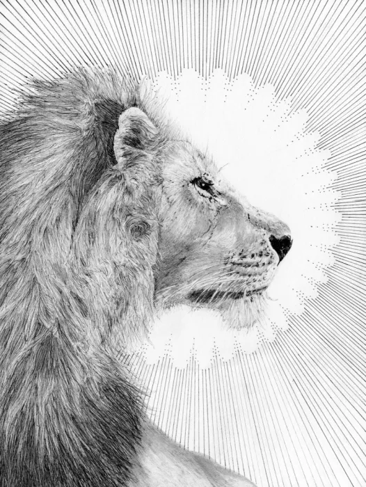 Mazur, EC: Sun and Lion