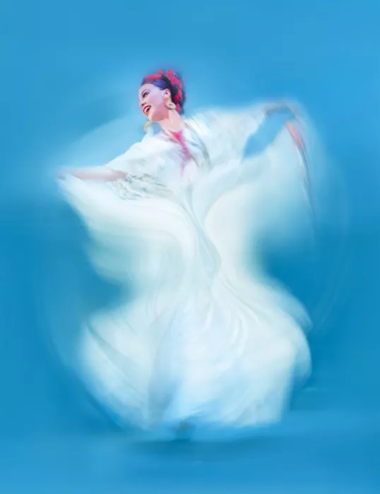 Hui: A Floating Lily
