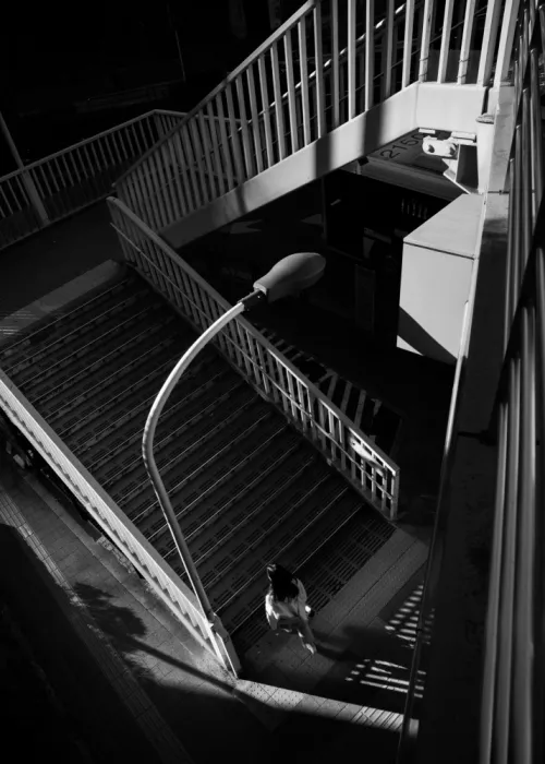 Hata, Satoshi: pedestrian bridge