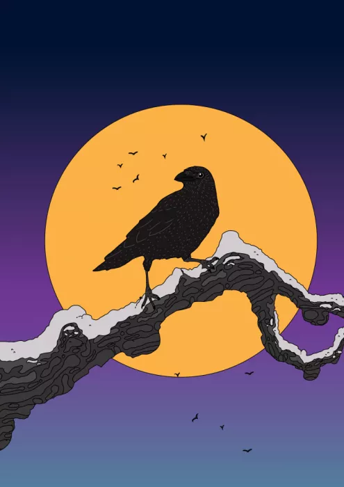 Nicholas: Corbeau en hiver
