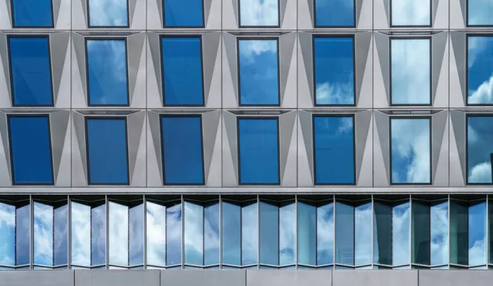 Koer, Jaap: Windows