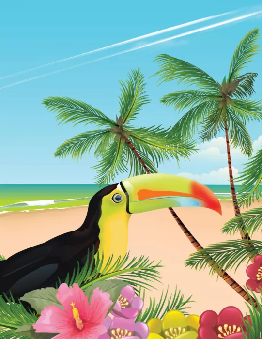 Nicholas: Toucan sur une plage