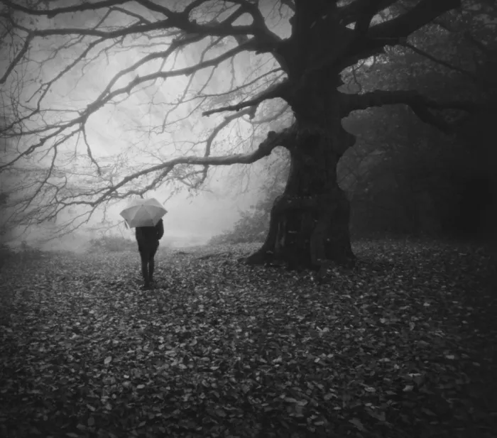 Fabrowski, Robert: Facing Reality