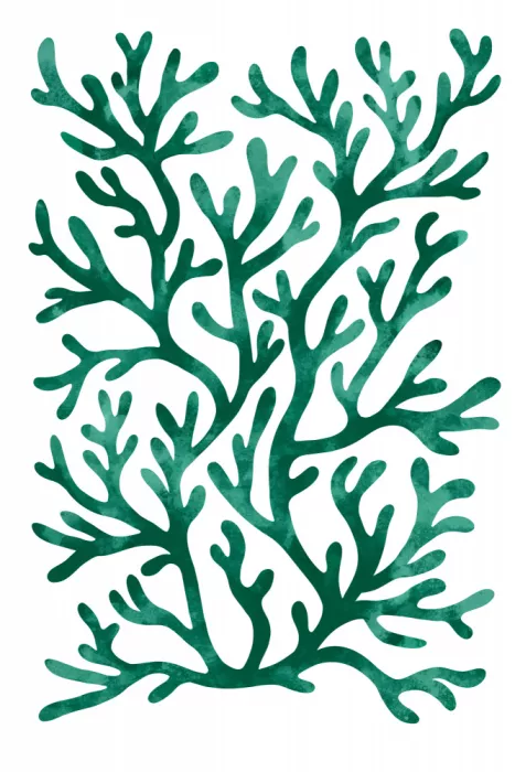 EMELIEmaria: Coral pattern