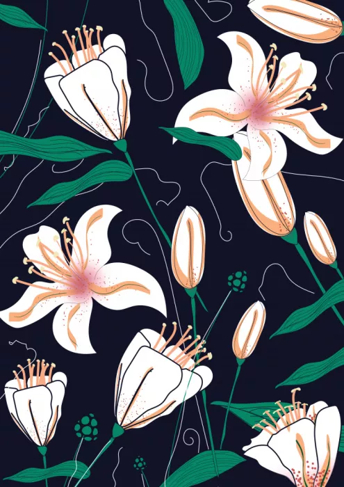 Nicholas: Fleurs de lys