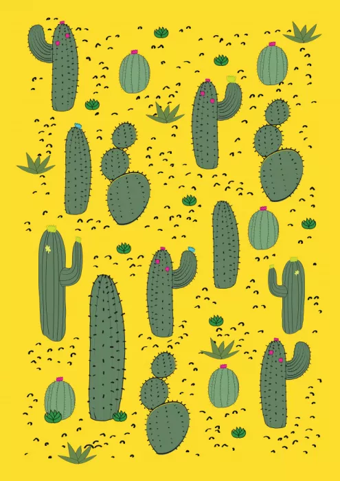 Nicholas: Cactus