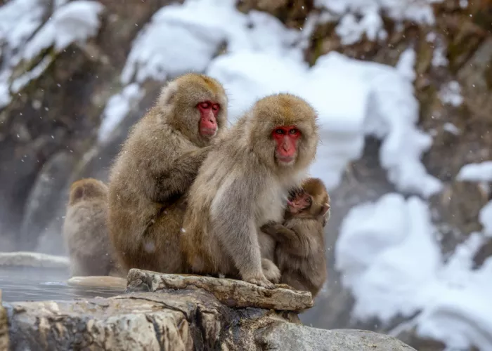 W, Joanna: Cozy family moment