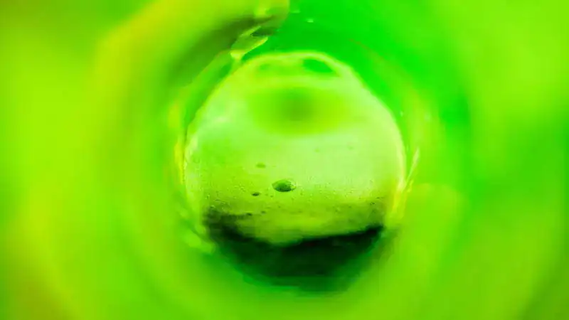 Zuzana a Josef Havlin: Green....
