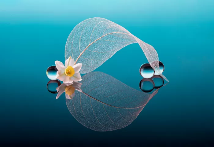 GaoSL: Flower, Leaf and Beads