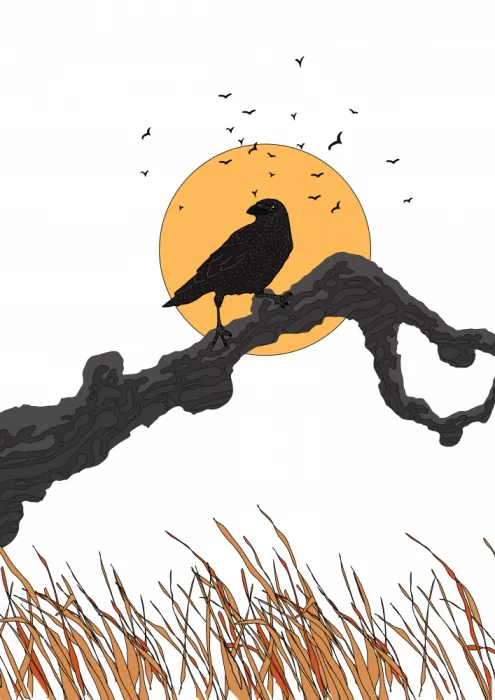 Nicholas: Crow And The Full Moon