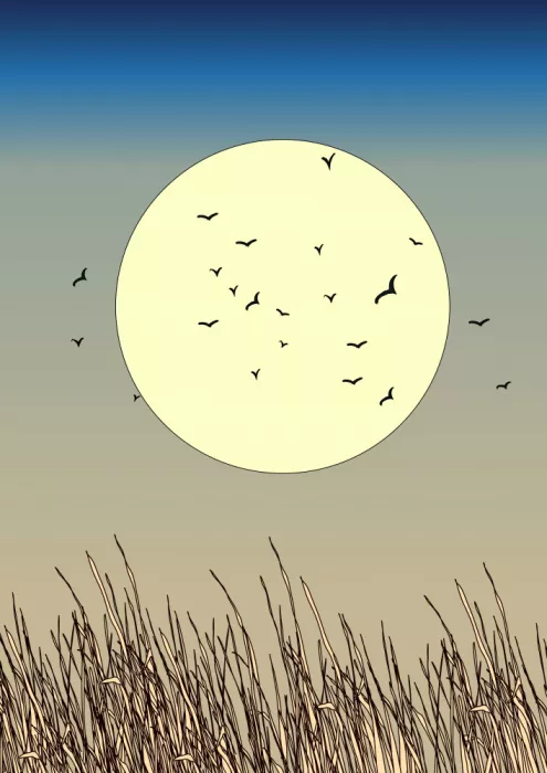 Nicholas: Oiseaux en silhouette en vol