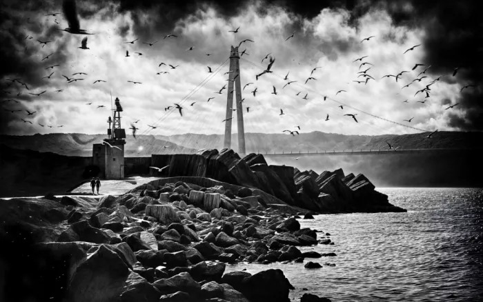Bayram, Serdar: Köprü