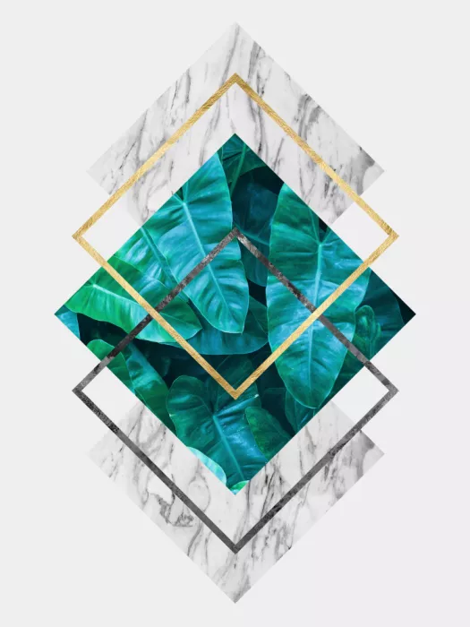 Costa, Vitor: Botanical and geometric Shape