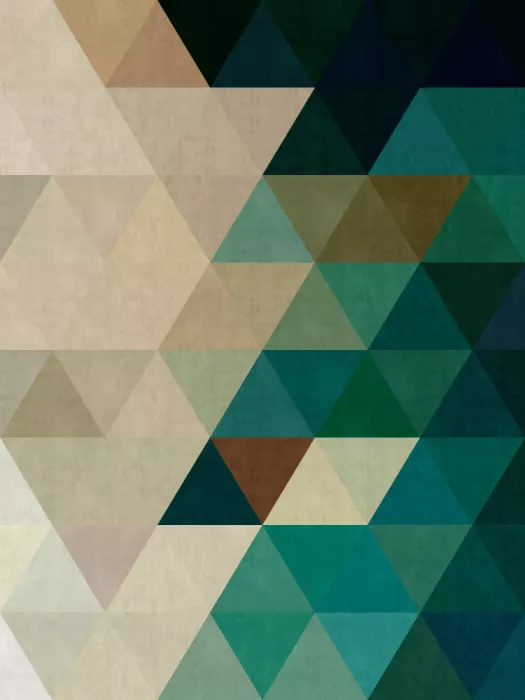 Costa, Vitor: Géométrie des triangles 9