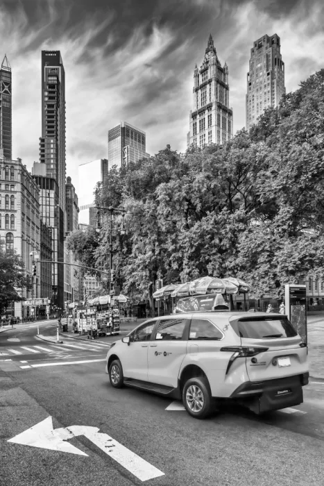 Viola, Melanie: Escena callejera de Nueva York con el Edificio Woolworth