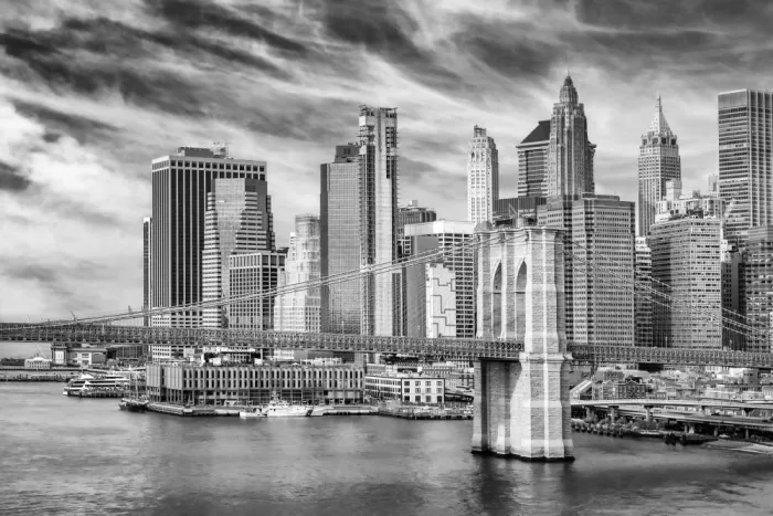Viola, Melanie: Ikonická silueta New Yorku a Brooklynský most