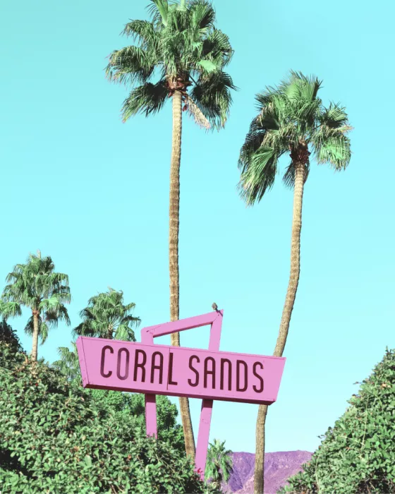 Windeknecht, Tom: Retro Paradise Vibes